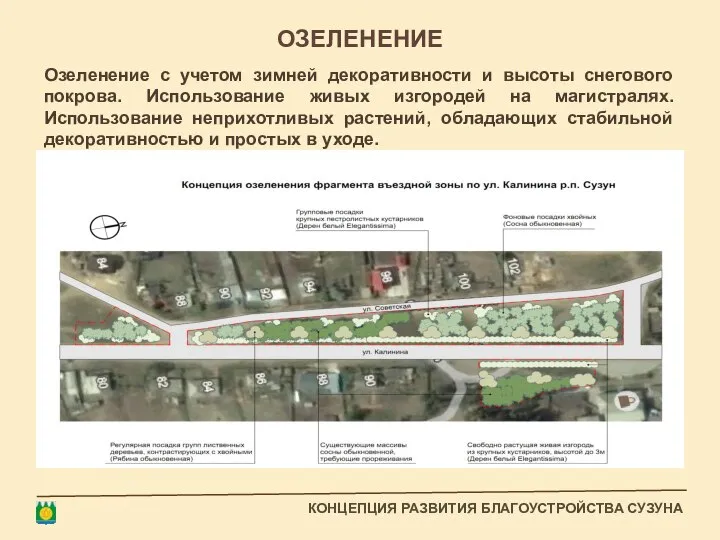 Озеленение с учетом зимней декоративности и высоты снегового покрова. Использование живых