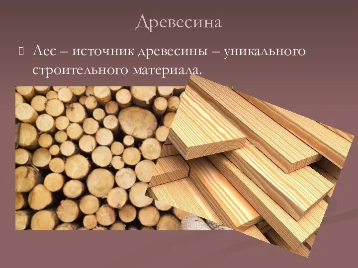 Древесина Лес – источник древесины – уникального строительного материала.