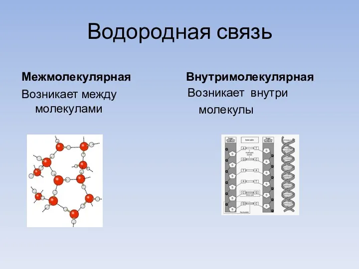 Водородная связь Межмолекулярная Возникает между молекулами Внутримолекулярная Возникает внутри молекулы