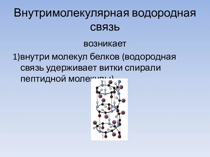 Внутримолекулярная водородная связь возникает 1)внутри молекул белков (водородная связь удерживает витки спирали пептидной молекулы)