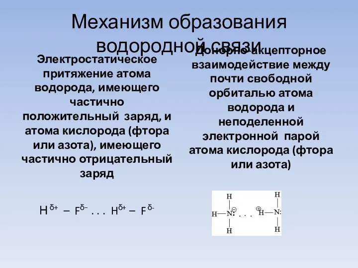 Механизм образования водородной связи Электростатическое притяжение атома водорода, имеющего частично положительный