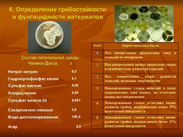 6. Определение грибостойкости и фунгицидности материалов Состав питательной среды Чапека-Докса, г