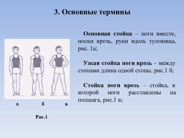 3. Основные термины Основная стойка – ноги вместе, носки врозь, руки