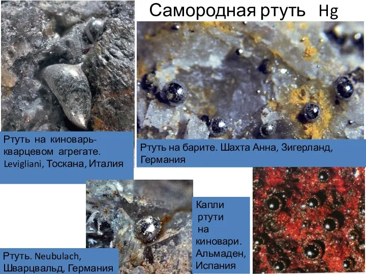 Самородная ртуть Hg Ртуть на киноварь-кварцевом агрегате. Levigliani, Тоскана, Италия Ртуть