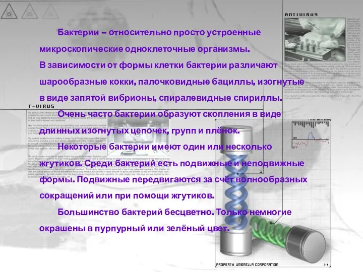 Бактерии – относительно просто устроенные микроскопические одноклеточные организмы. В зависимости от