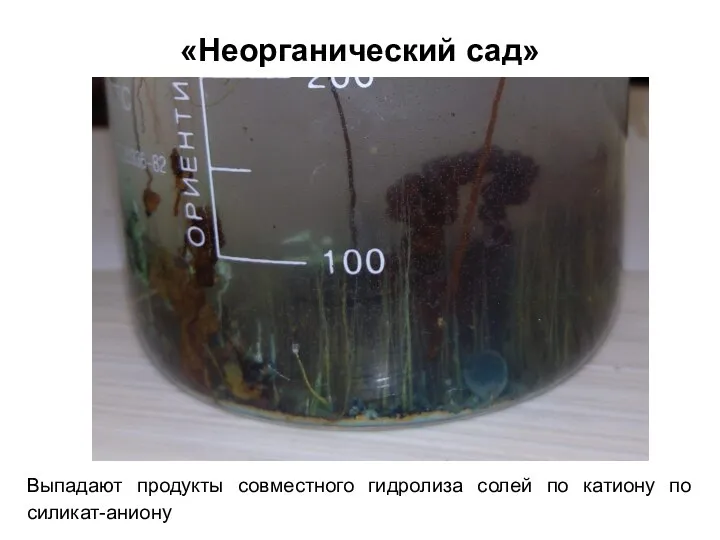 «Неорганический сад» Выпадают продукты совместного гидролиза солей по катиону по силикат-аниону