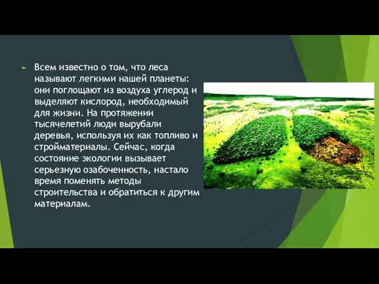 Всем известно о том, что леса называют легкими нашей планеты: они