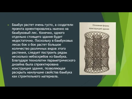 Бамбук растет очень густо, а создатели проекта ориентировались именно на бамбуковый