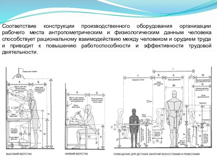 Соответствие конструкции производственного оборудования организации рабочего места антропометрическим и физиологическим данным