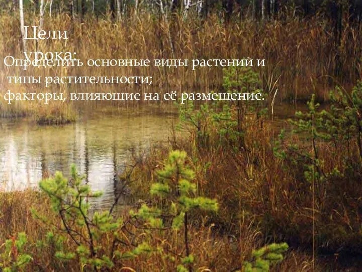 Цели урока: Определить основные виды растений и типы растительности; факторы, влияющие на её размещение.