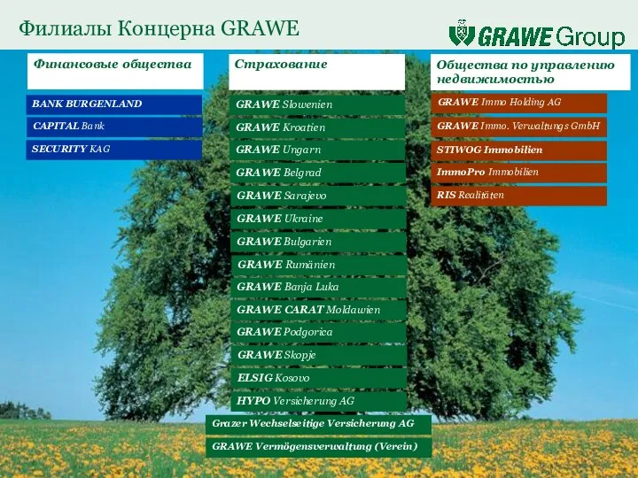 GRAWE Immo Holding AG Grazer Wechselseitige Versicherung AG GRAWE Vermögensverwaltung (Verein)