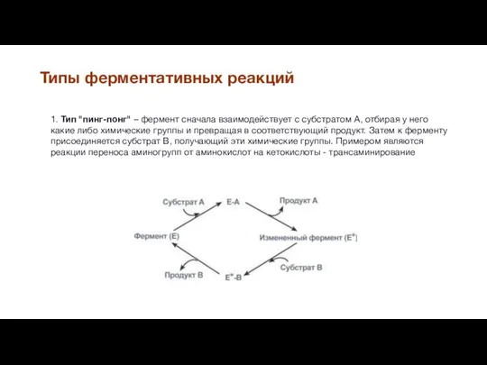 1. Тип "пинг-понг" – фермент сначала взаимодействует с субстратом А, отбирая