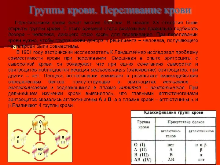 - - Группы крови. Переливание крови