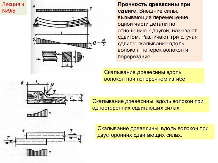 Лекция 9 №9/5 Скалывание древесины вдоль волокон при поперечном изгибе Скалывание