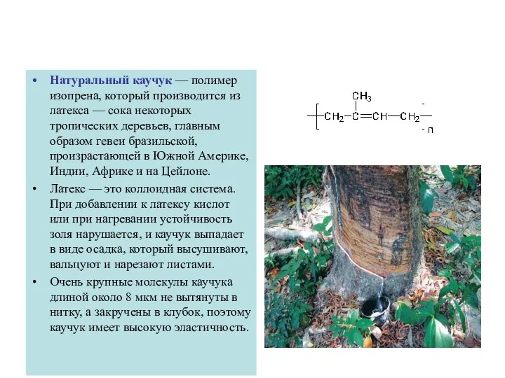 Натуральный каучук — полимер изопрена, который производится из латекса — сока