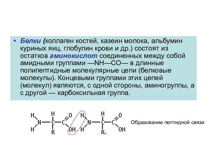 Белки (коллаген костей, казеин молока, альбумин куриных яиц, глобулин крови и