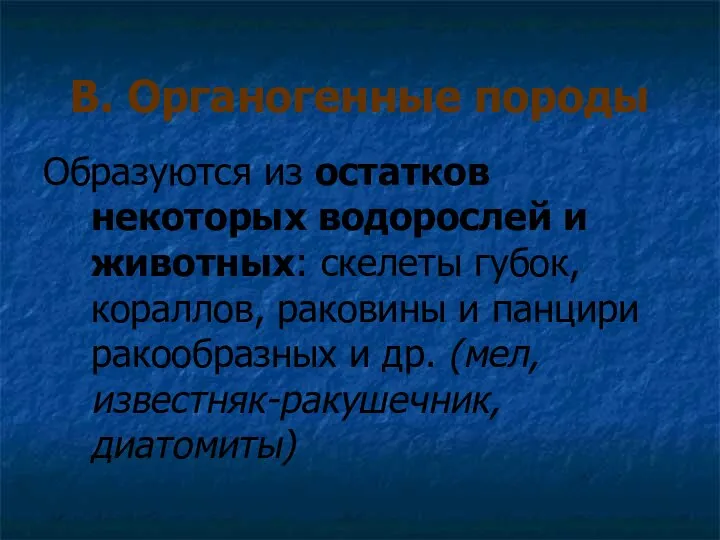 В. Органогенные породы Образуются из остатков некоторых водорослей и животных: скелеты