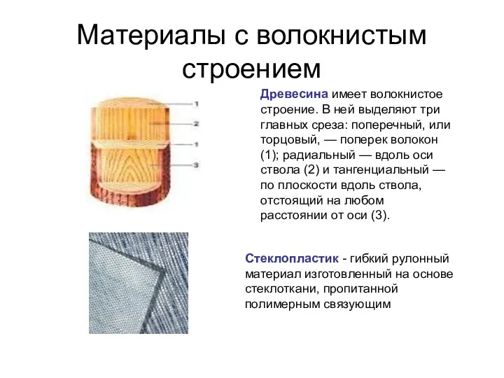 Материалы с волокнистым строением Древесина имеет волокнистое строение. В ней выделяют