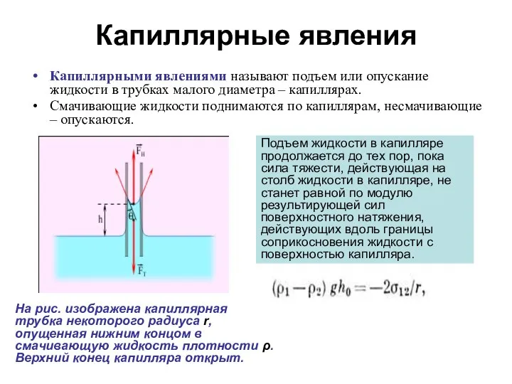 Капиллярные явления Капиллярными явлениями называют подъем или опускание жидкости в трубках