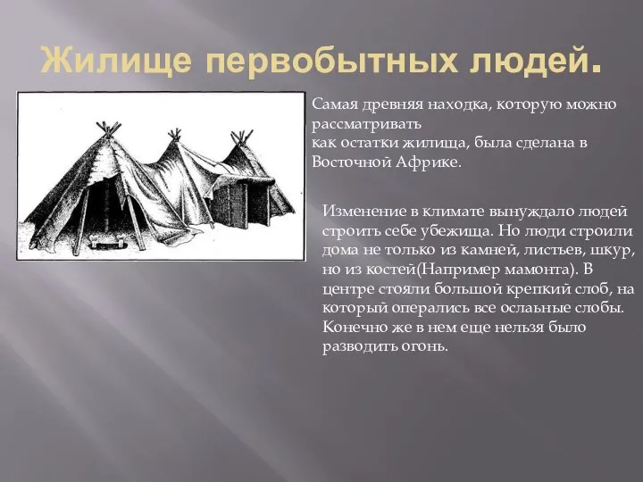 Жилище первобытных людей. Самая древняя находка, которую можно рассматривать как остатки