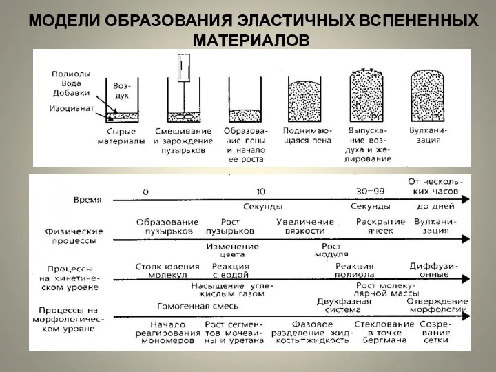 МОДЕЛИ ОБРАЗОВАНИЯ ЭЛАСТИЧНЫХ ВСПЕНЕННЫХ МАТЕРИАЛОВ