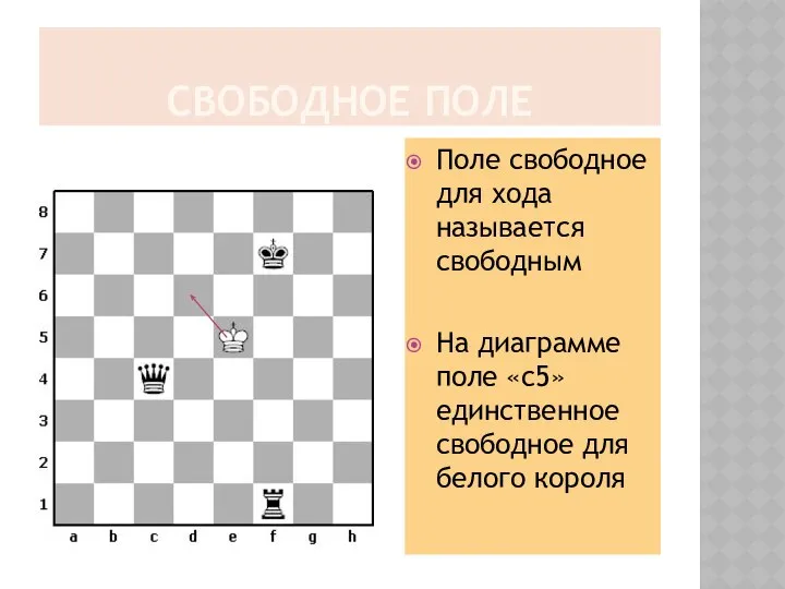 СВОБОДНОЕ ПОЛЕ Поле свободное для хода называется свободным На диаграмме поле