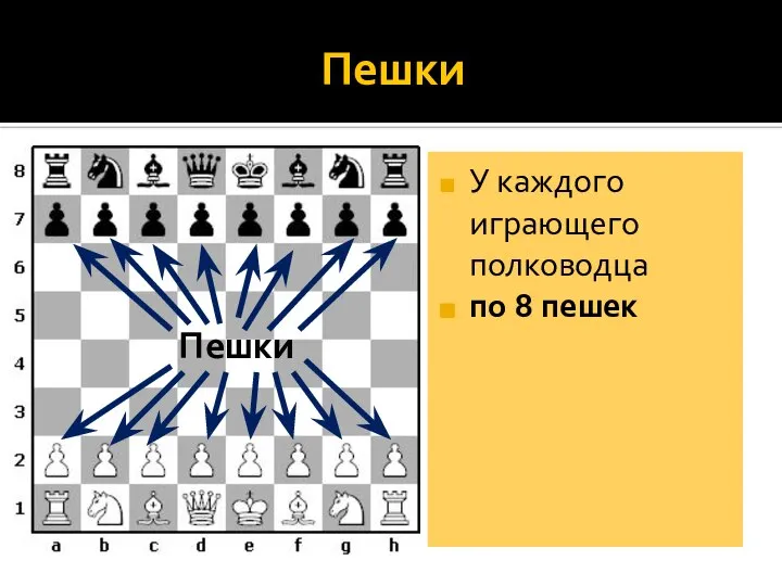 Пешки У каждого играющего полководца по 8 пешек Пешки