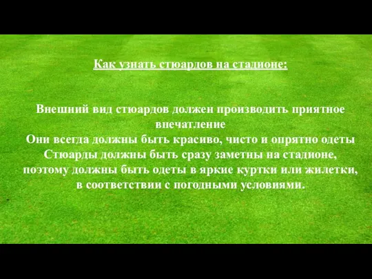 Как узнать стюардов на стадионе: Внешний вид стюардов должен производить приятное