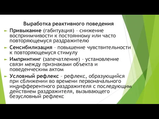 Выработка реактивного поведения Привыкание (габитуация) – снижение восприимчивости к постоянному или