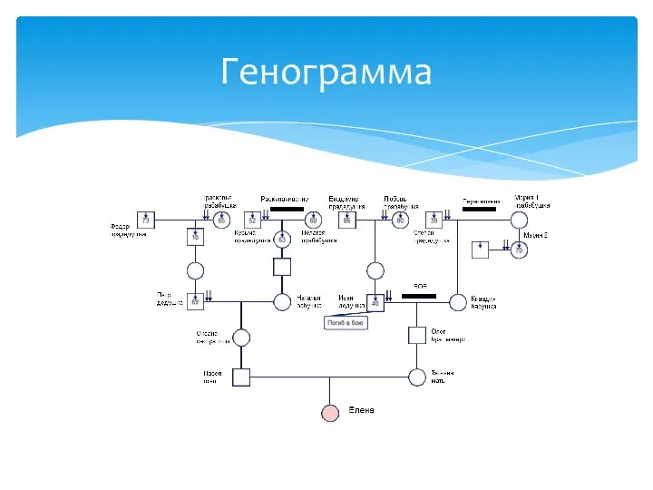 Генограмма