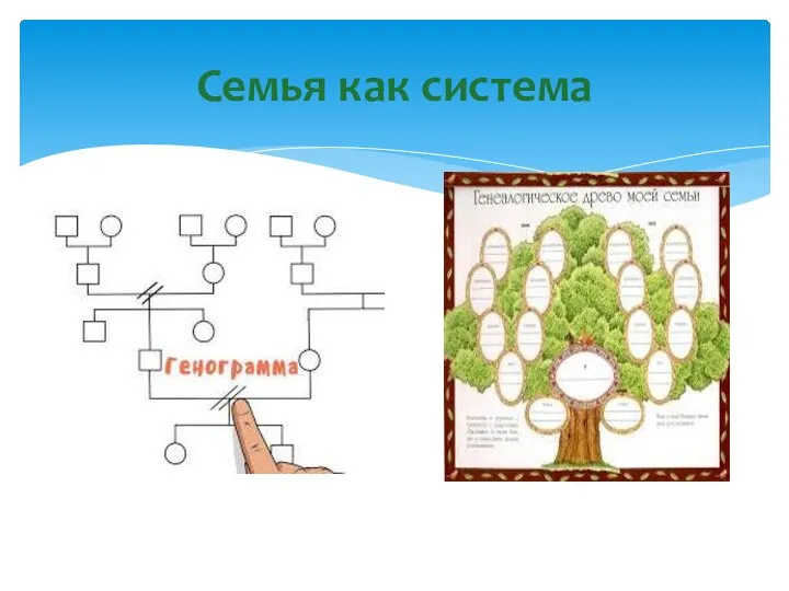 Семья как система