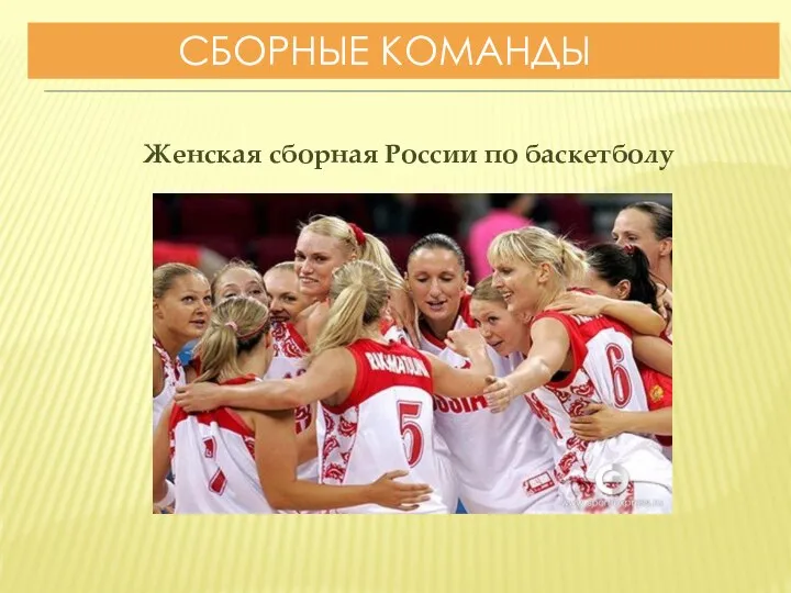 СБОРНЫЕ КОМАНДЫ Женская сборная России по баскетболу