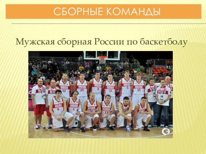 СБОРНЫЕ КОМАНДЫ Мужская сборная России по баскетболу