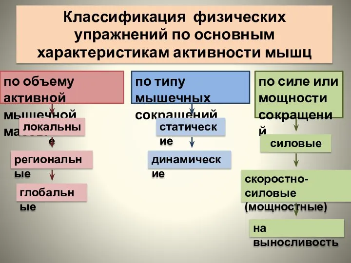 Классификация физических упражнений по основным характеристикам активности мышц по объему активной