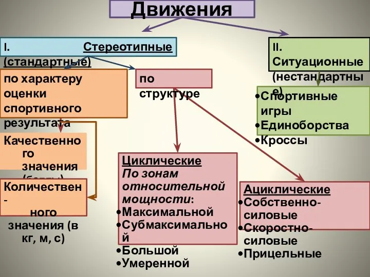 Движения Ациклические Собственно-силовые Скоростно-силовые Прицельные Спортивные игры Единоборства Кроссы I. Стереотипные