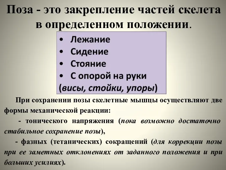 Поза - это закрепление частей скелета в определенном положе­нии. При сохранении