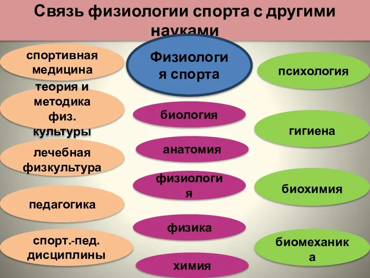 Связь физиологии спорта с другими науками Физиология спорта теория и методика