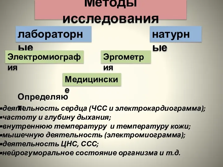 Методы исследования лабораторные деятельность сердца (ЧСС и электрокардиограмма); частоту и глубину