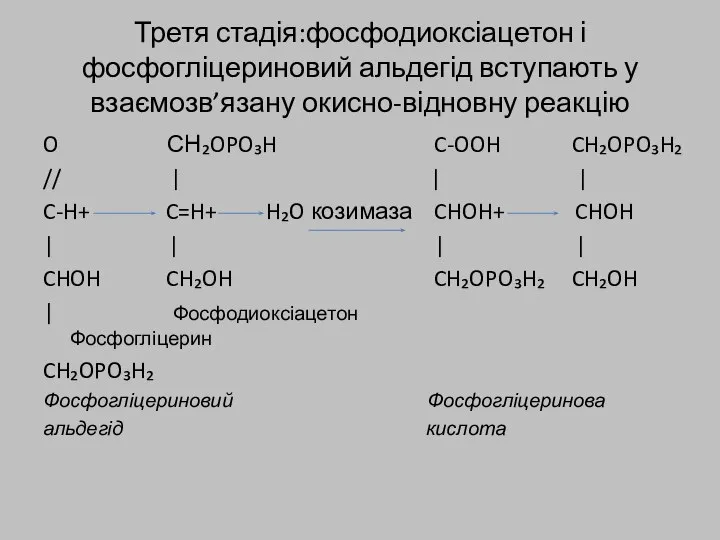 Третя стадія:фосфодиоксіацетон і фосфогліцериновий альдегід вступають у взаємозв’язану окисно-відновну реакцію O