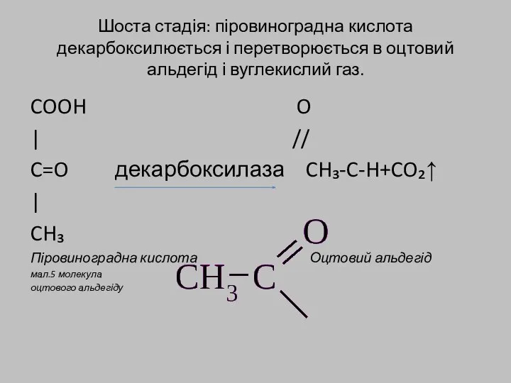 Шоста стадія: піровиноградна кислота декарбоксилюється і перетворюється в оцтовий альдегід і
