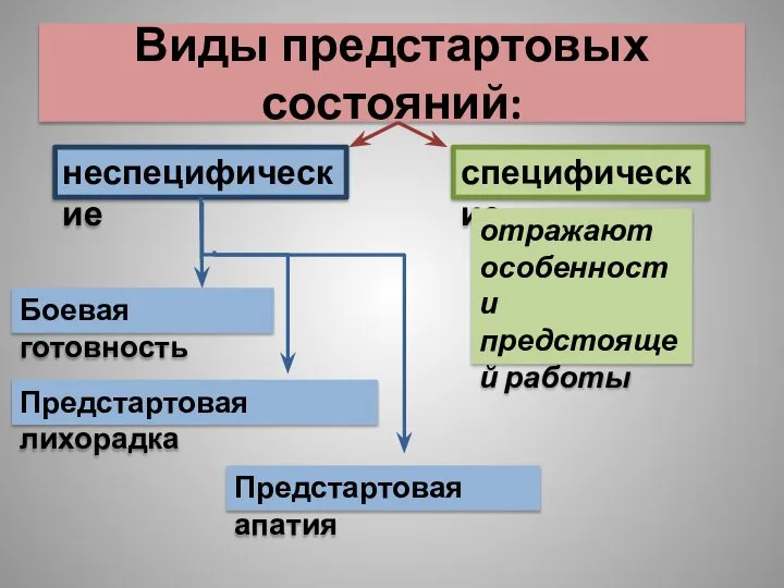 Виды предстартовых состояний: неспецифические специфические Боевая готовность Предстартовая лихорадка Предстартовая апатия отражают особенности предстоящей работы