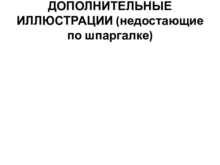 ДОПОЛНИТЕЛЬНЫЕ ИЛЛЮСТРАЦИИ (недостающие по шпаргалке)