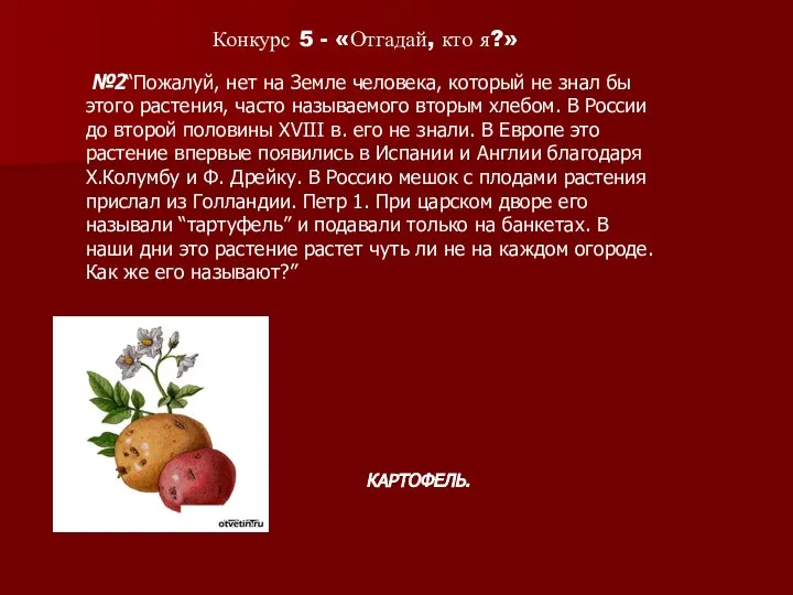 №2“Пожалуй, нет на Земле человека, который не знал бы этого растения,