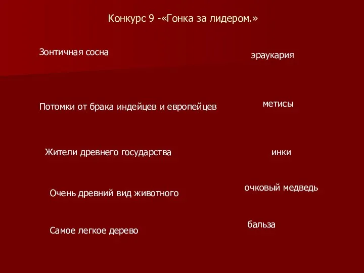 Конкурс 9 -«Гонка за лидером.» Зонтичная сосна эраукария Потомки от брака