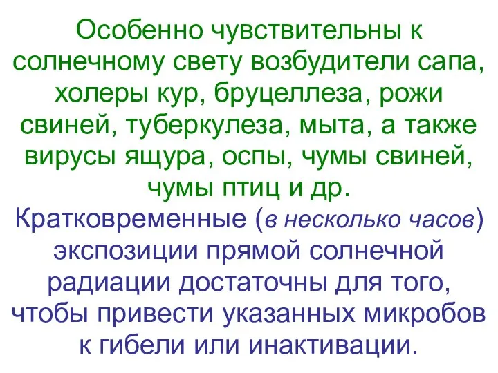 Особенно чувствительны к солнечному свету возбудители сапа, холеры кур, бруцеллеза, рожи