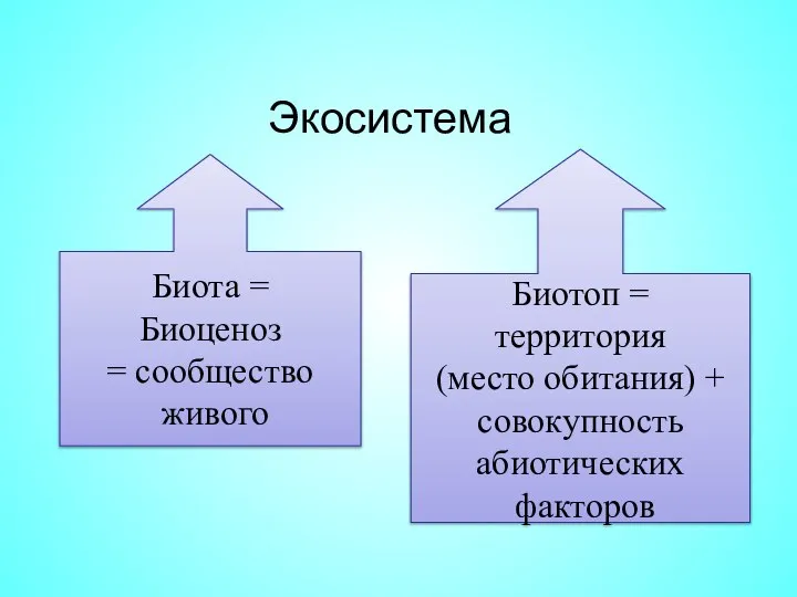 Экосистема Биота = Биоценоз = сообщество живого Биотоп = территория (место обитания) + совокупность абиотических факторов