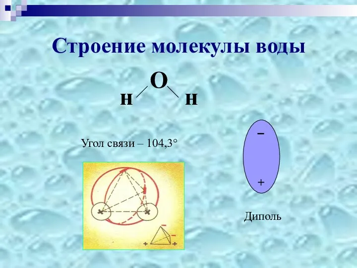 Строение молекулы воды н О н _ + Диполь Угол связи – 104,3°