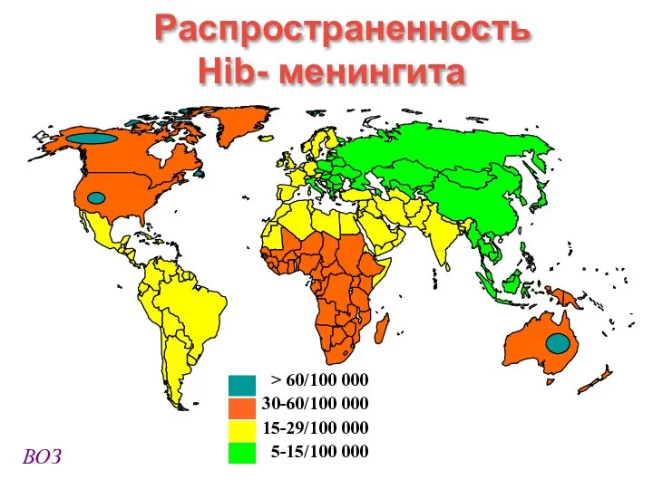 > 60/100 000 30-60/100 000 15-29/100 000 5-15/100 000 Распространенность Hib- менингита ВОЗ