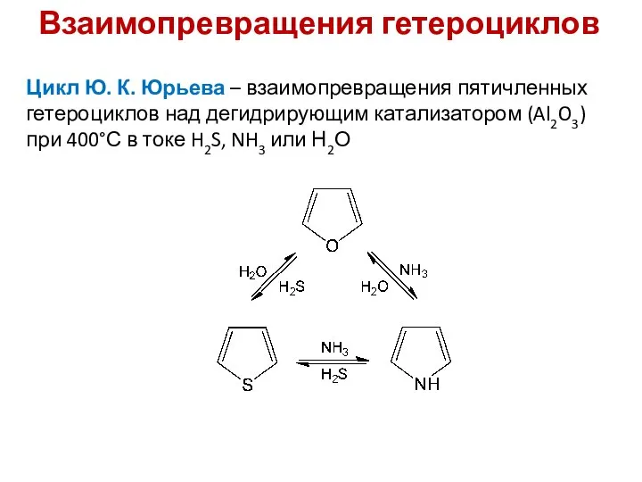 Взаимопревращения гетероциклов Цикл Ю. К. Юрьева – взаимопревращения пятичленных гетероциклов над