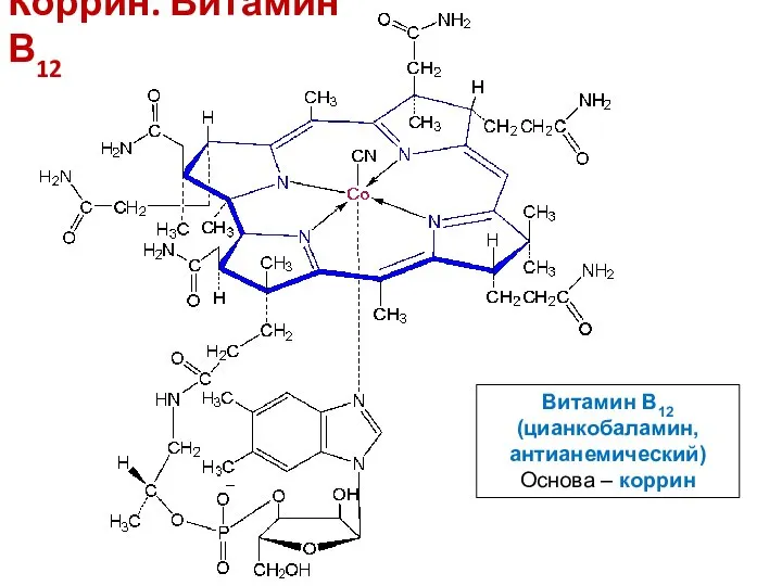 Коррин. Витамин В12 Витамин В12 (цианкобаламин, антианемический) Основа – коррин